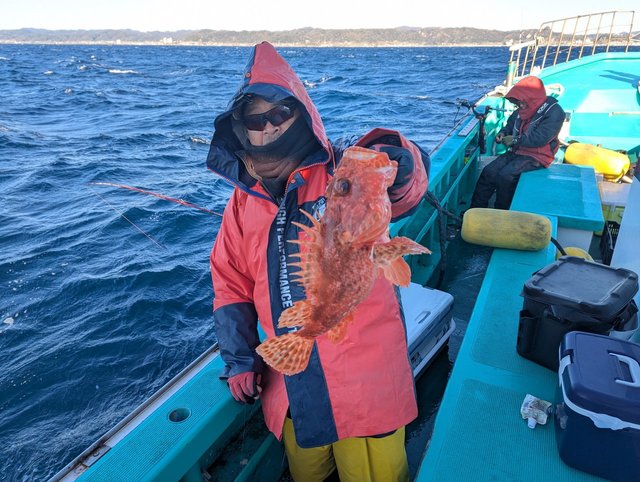 オニカサゴ(イズカサゴ)