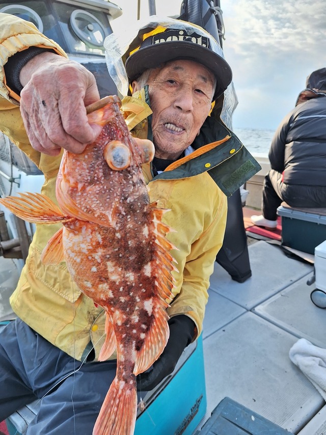 アラカブ(カサゴ)