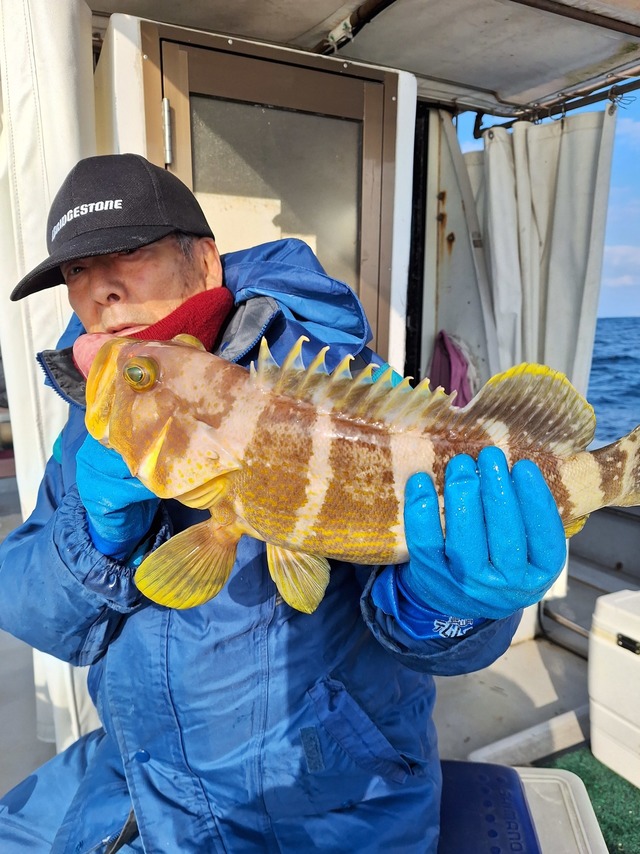 アオナ(アオハタ)