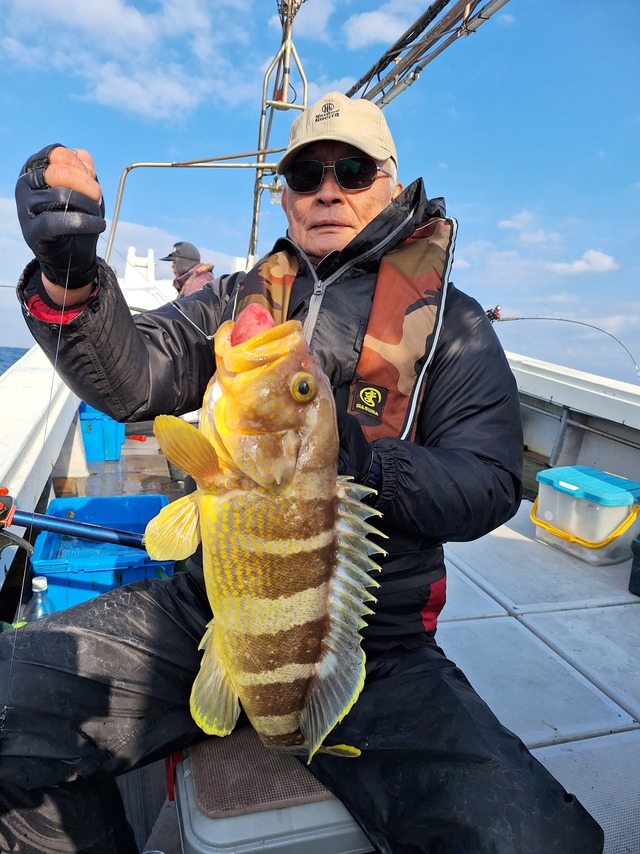 アオナ(アオハタ)