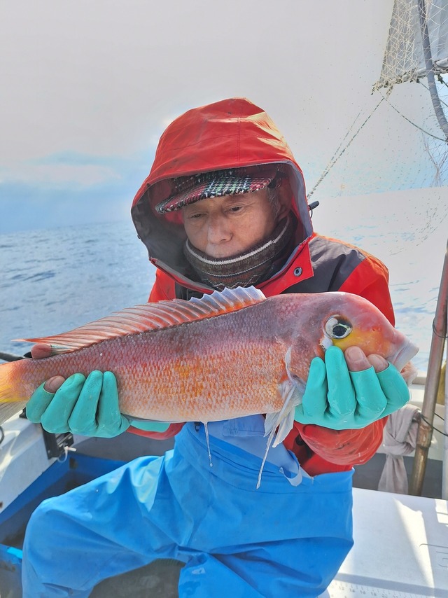 アマダイ(アカアマダイ)