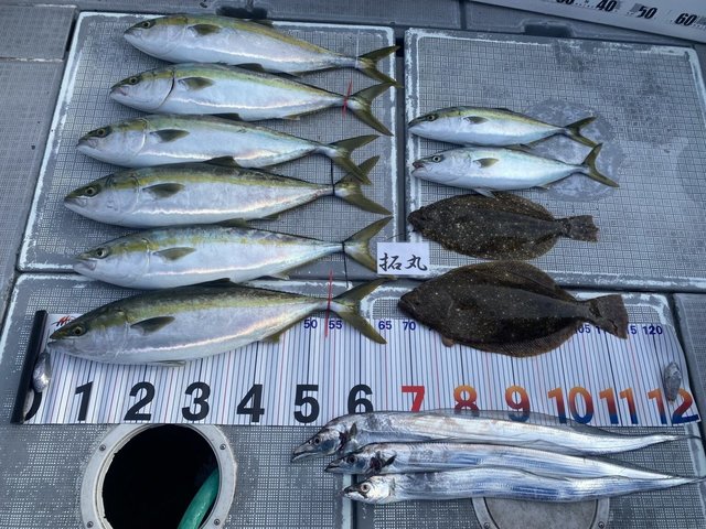 ハマチ(ブリ)・メジロ(ブリ)・タチウオ・ヒラメ