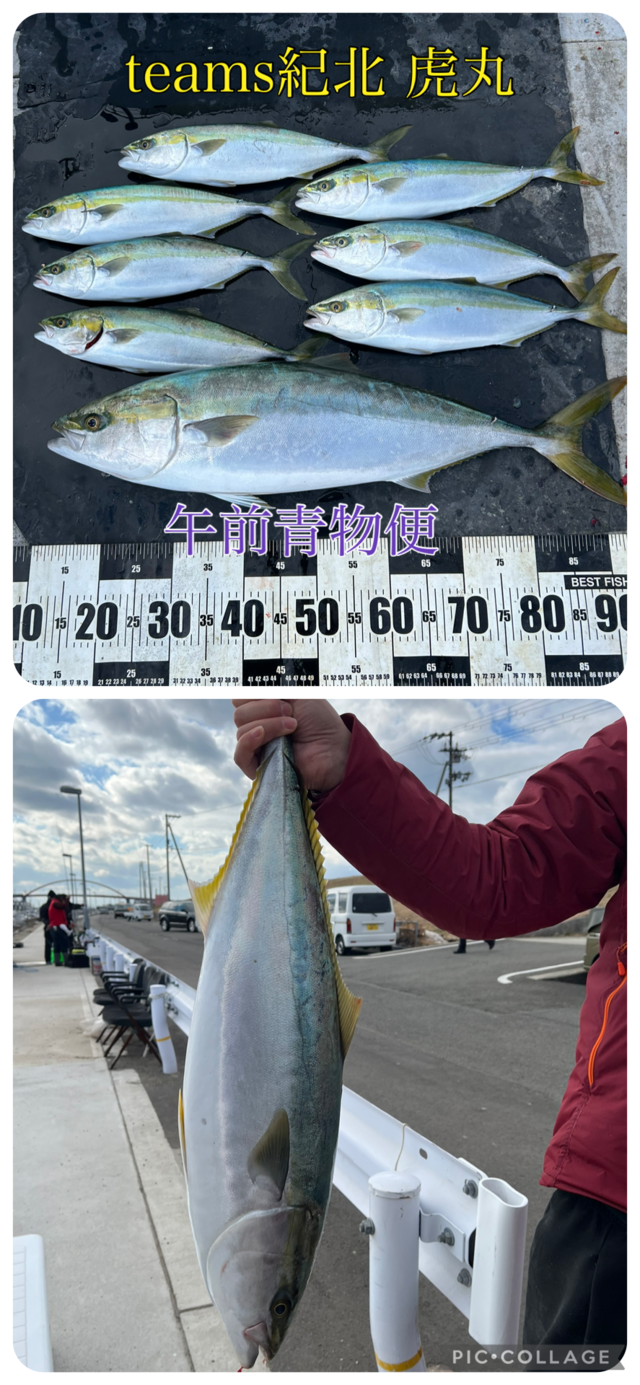 ブリ・ハマチ(ブリ)