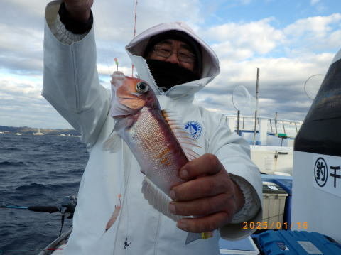 アマダイ(アカアマダイ)