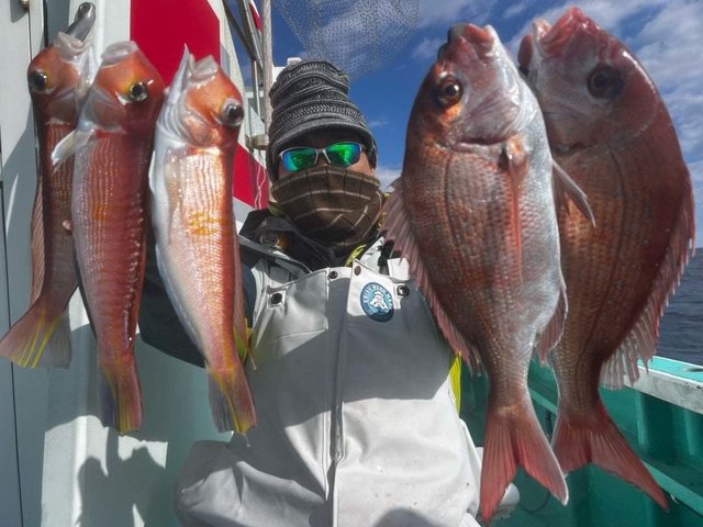 マダイ・アマダイ(アカアマダイ)