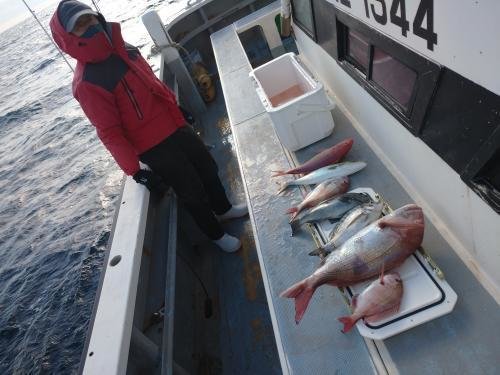 マダイ・クロダイ・イナダ(ブリ)・イトヨリ(イトヨリダイ)