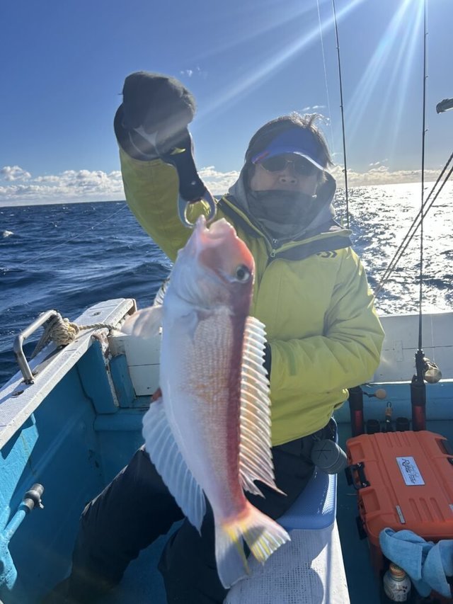 アマダイ(アカアマダイ)