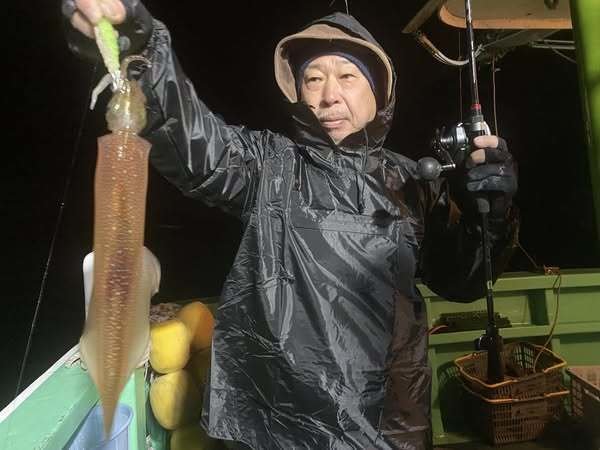 マルイカ(ケンサキイカ)