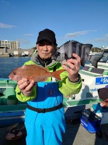 マダイ・イシダイ