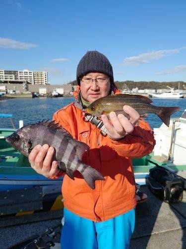 イシダイ・イサキ