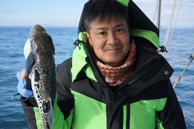 ショウサイフグ