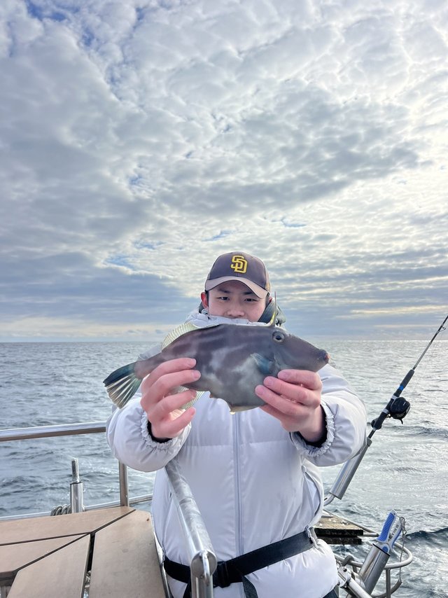 ウマズラハギ(ウマヅラハギ)