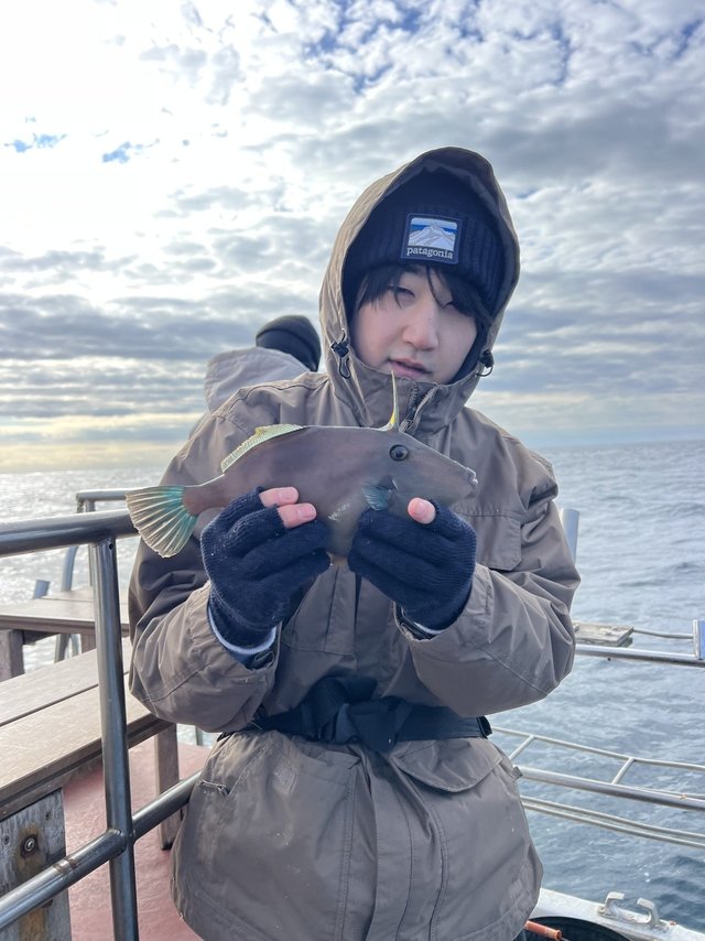 ウマズラハギ(ウマヅラハギ)