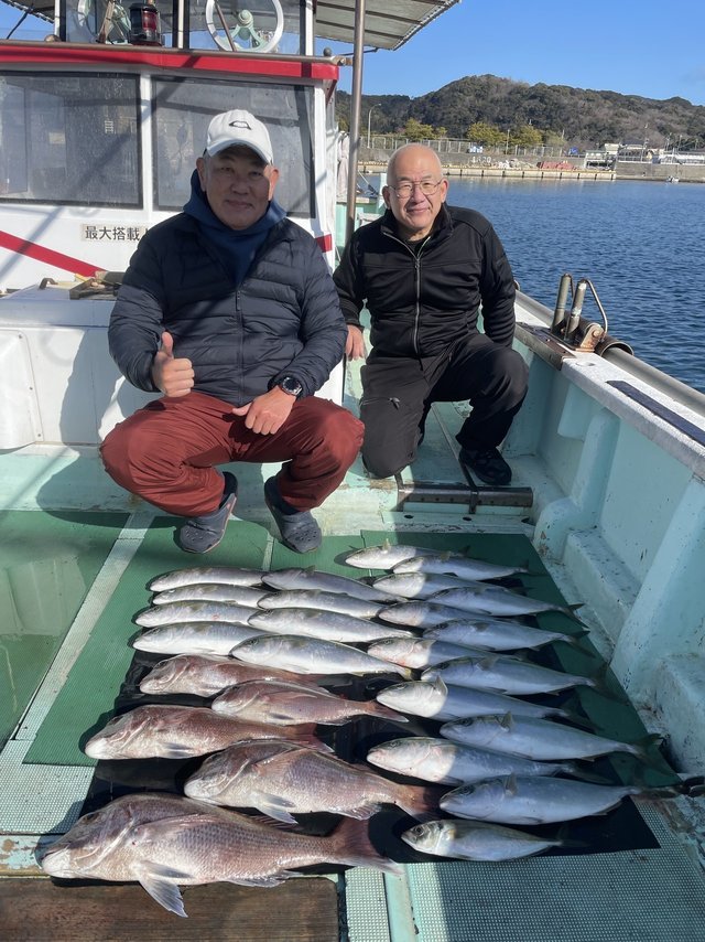 マダイ・マアジ・ハマチ(ブリ)