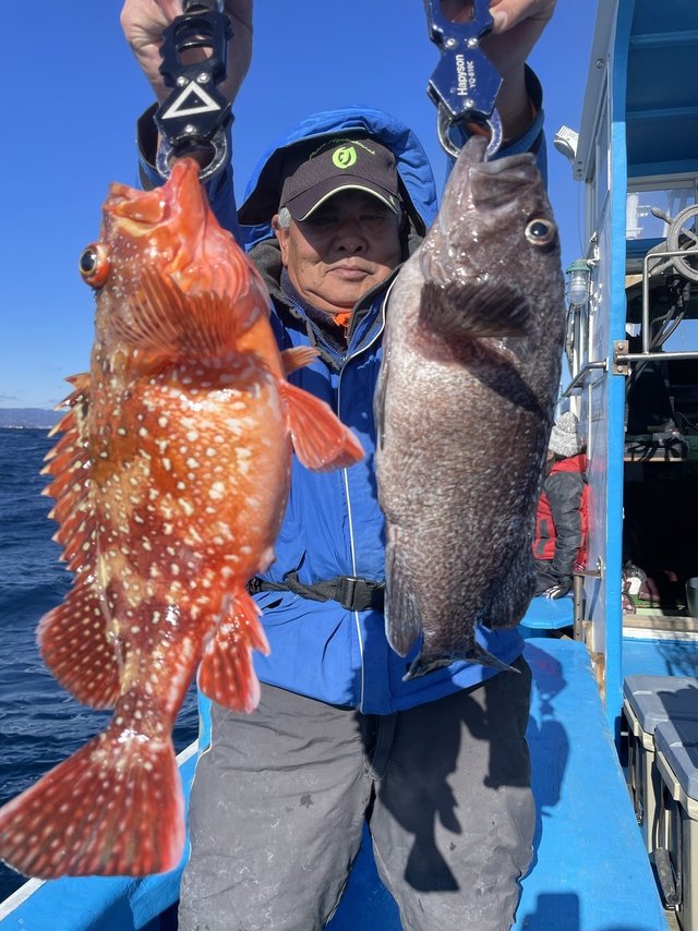 カサゴ・マゾイ(キツネメバル)