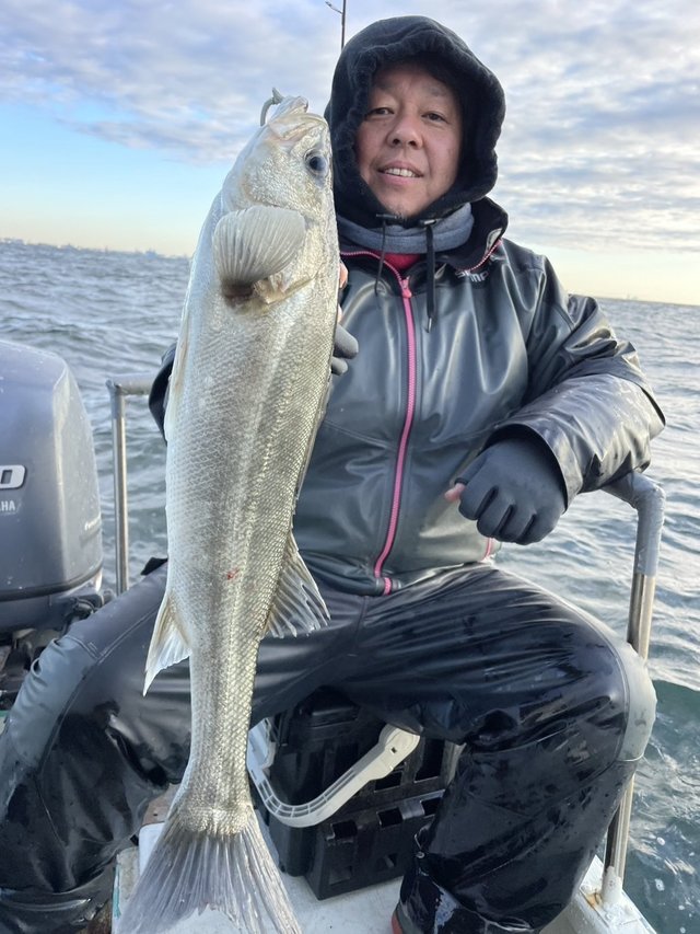 シーバス(スズキ)