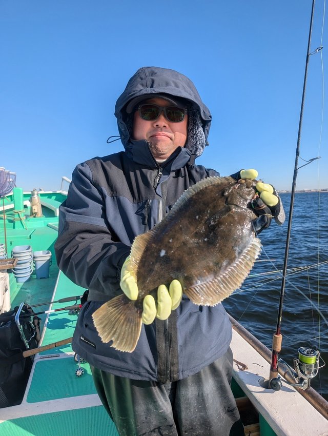 カレイ(マコガレイ)