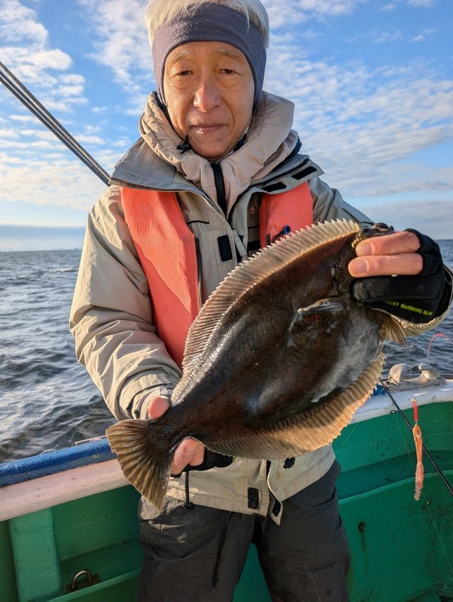 カレイ(マコガレイ)