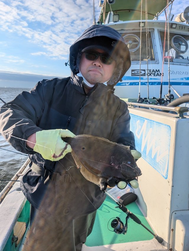 カレイ(マコガレイ)