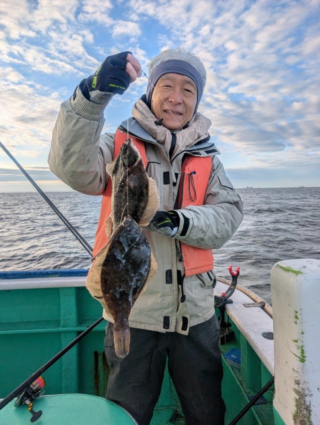 カレイ(マコガレイ)