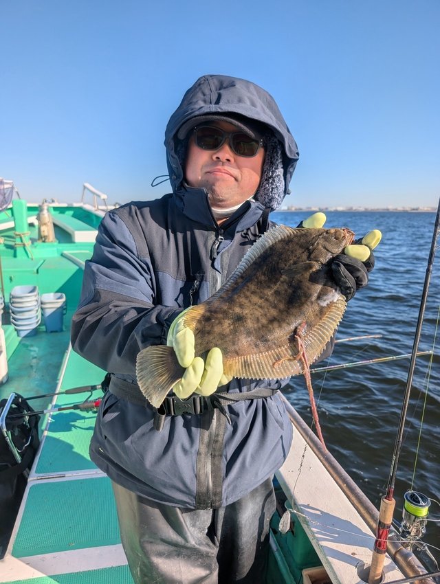 カレイ(マコガレイ)