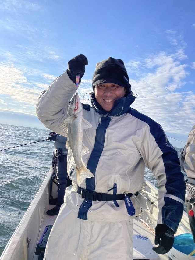 シーバス(スズキ)