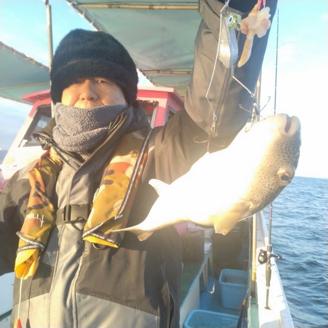 フグ(ショウサイフグ)