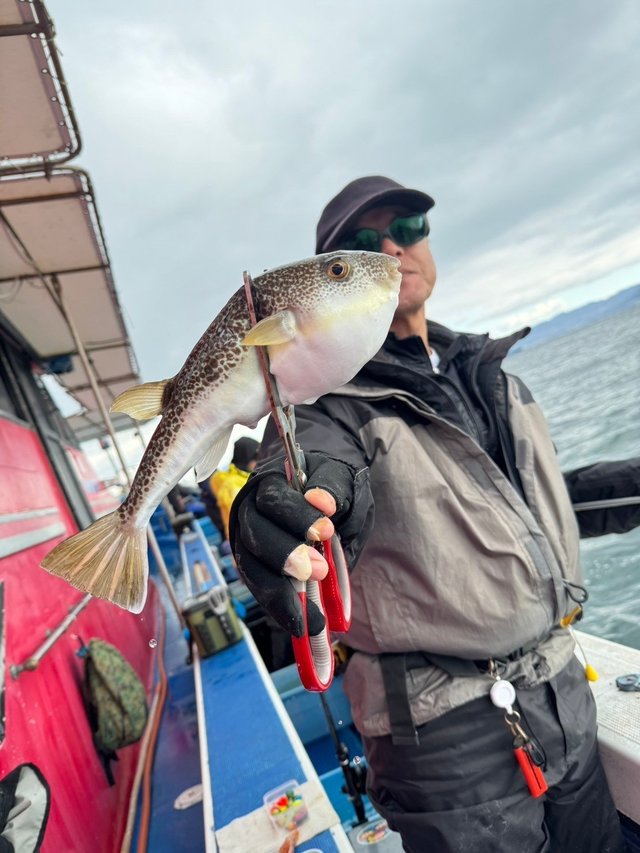 フグ(ショウサイフグ)