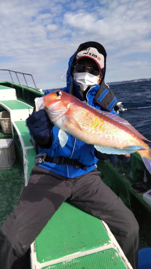 アマダイ(アカアマダイ)