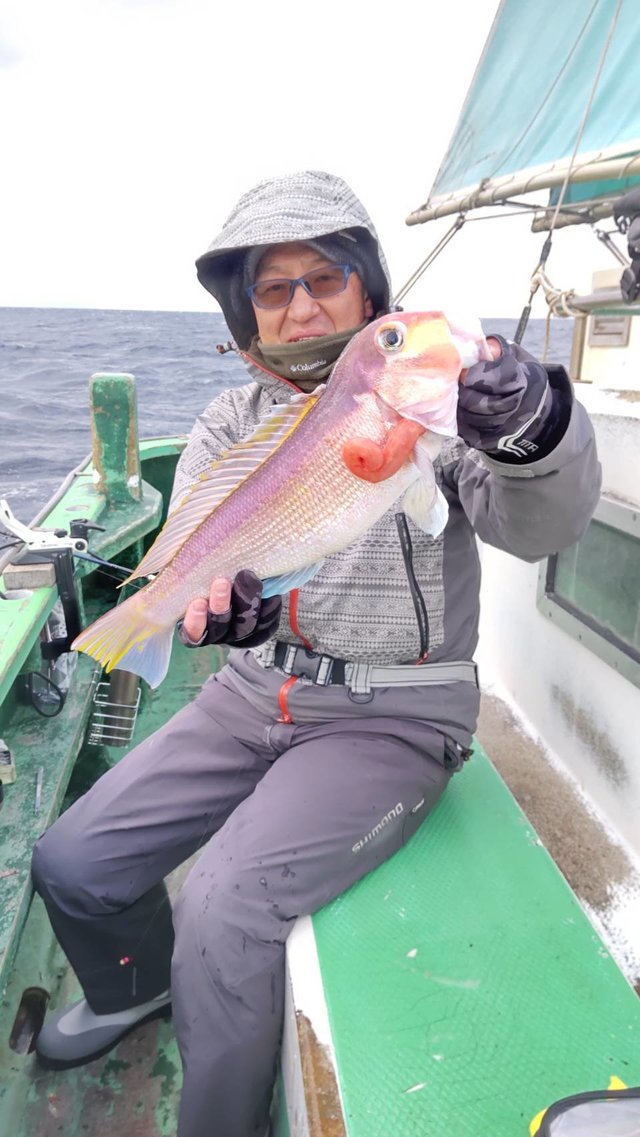 アマダイ(アカアマダイ)