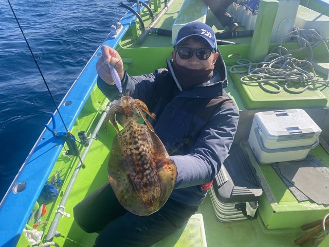 アオリ(アオリイカ)