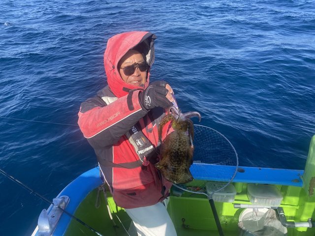 アオリ(アオリイカ)