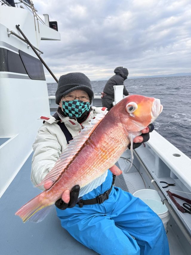 アマダイ(アカアマダイ)