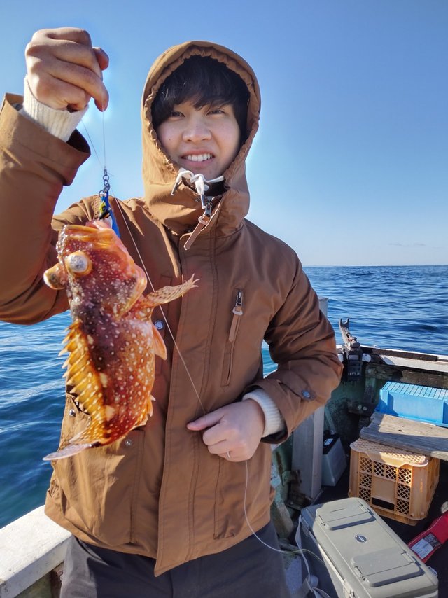 ガシラ(カサゴ)