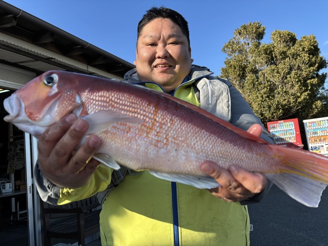 アマダイ(アカアマダイ)