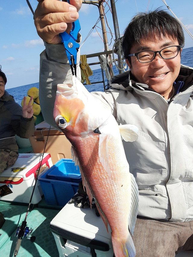 アマダイ(アカアマダイ)