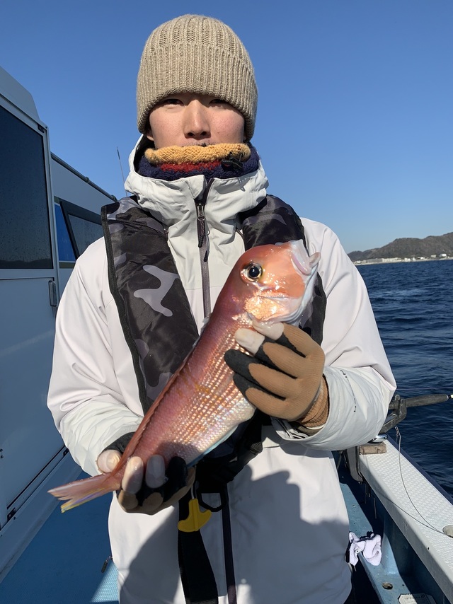 アマダイ(アカアマダイ)