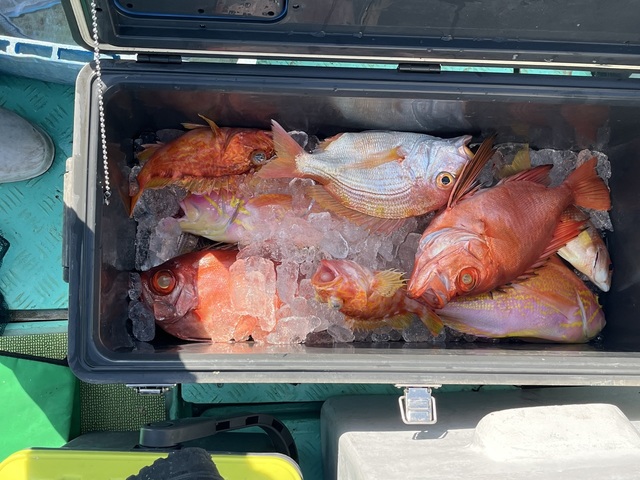 キンメ(キンメダイ)