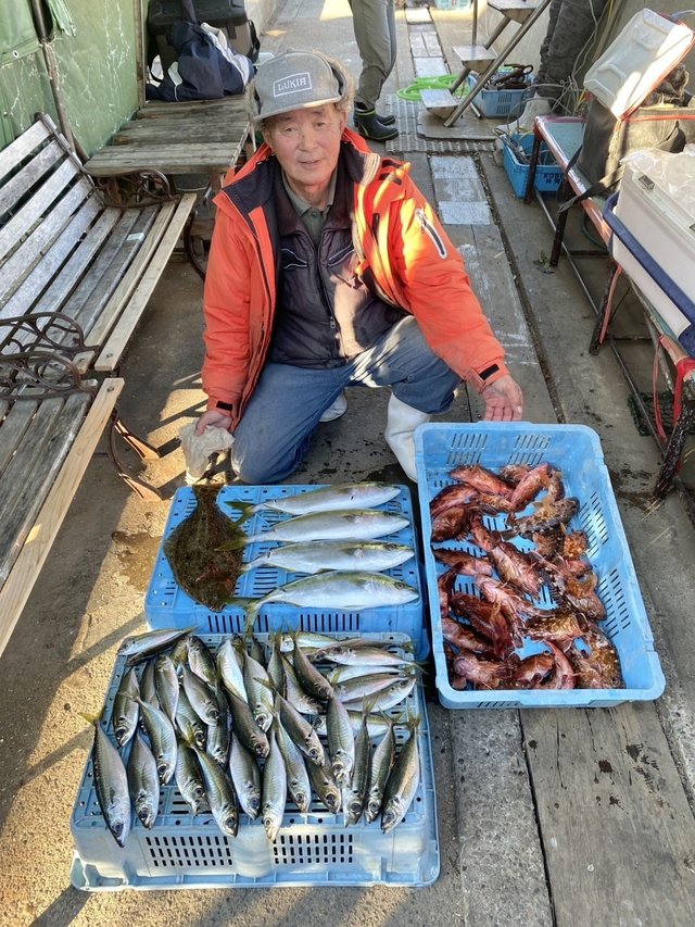 マアジ・ハマチ(ブリ)・ガシラ(カサゴ)・ヒラメ