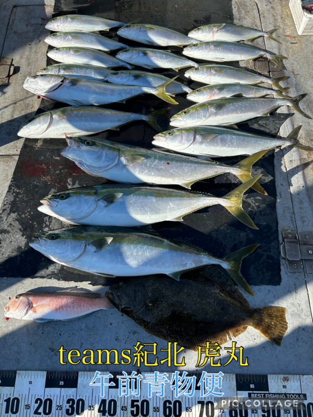 ブリ・ハマチ(ブリ)・メジロ(ブリ)・シロアマダイ・ヒラメ