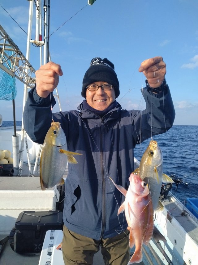 アカイサキ・イサキ