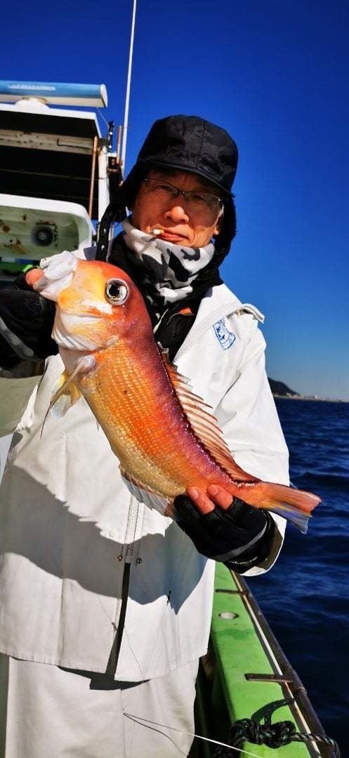 アマダイ(アカアマダイ)