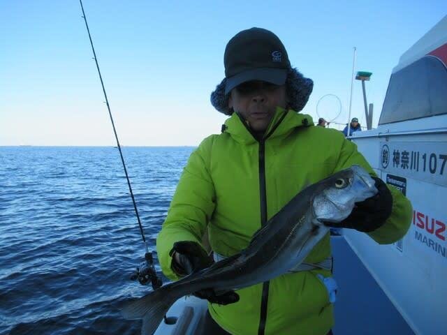 シーバス(スズキ)