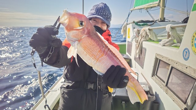 アマダイ(アカアマダイ)