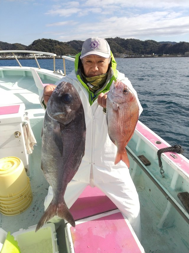 マダイ・メダイ