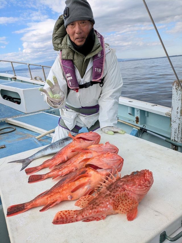 オニカサゴ・カンコ(ウッカリカサゴ)