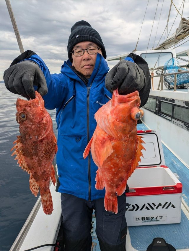 カンコ(ウッカリカサゴ)