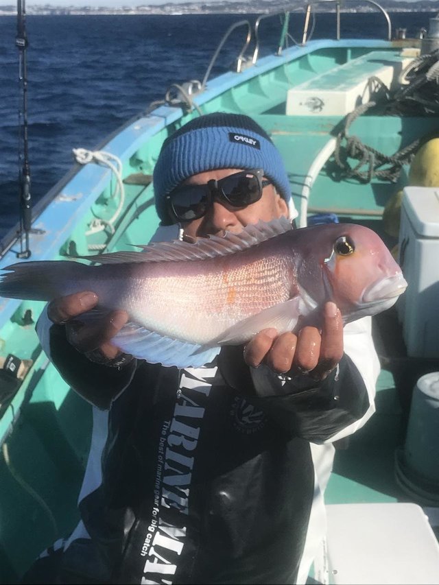 アマダイ(アカアマダイ)