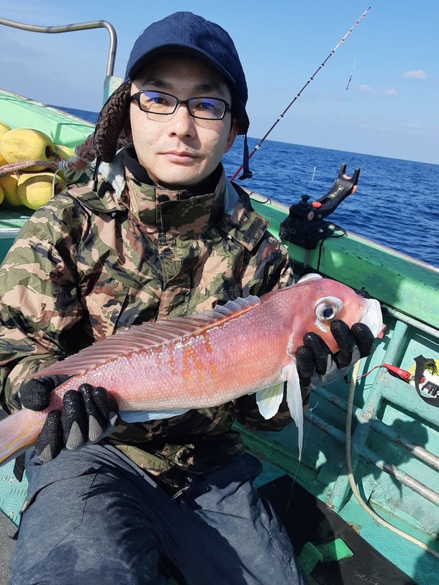 アマダイ(アカアマダイ)