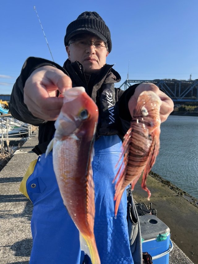 アマダイ(アカアマダイ)